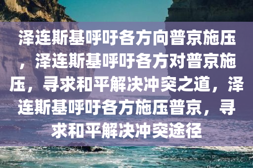 泽连斯基呼吁各方向普京施压，泽连斯基呼吁各方对普京施压，寻求和平解决冲突之道，泽连斯基呼吁各方施压普京，寻求和平解决冲突途径