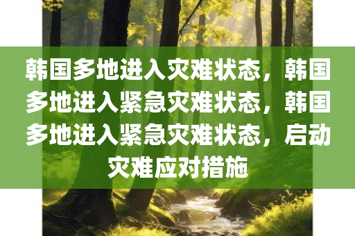 韩国多地进入灾难状态，韩国多地进入紧急灾难状态，韩国多地进入紧急灾难状态，启动灾难应对措施