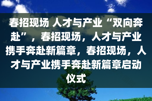 春招现场 人才与产业“双向奔赴”，春招现场，人才与产业携手奔赴新篇章，春招现场，人才与产业携手奔赴新篇章启动仪式