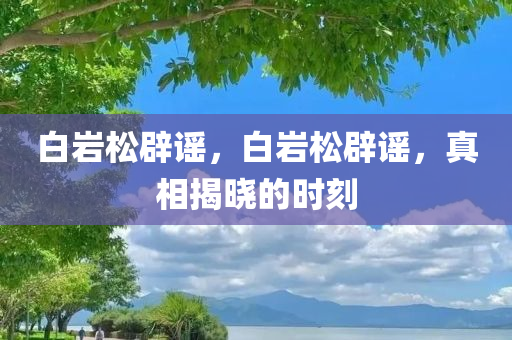 白岩松辟谣，白岩松辟谣，真相揭晓的时刻