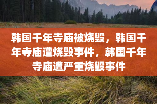 韩国千年寺庙被烧毁，韩国千年寺庙遭烧毁事件，韩国千年寺庙遭严重烧毁事件