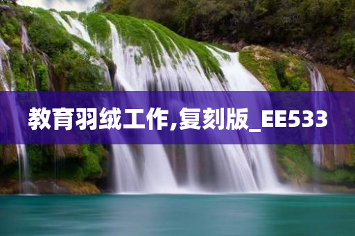 教育羽绒工作,复刻版_EE533