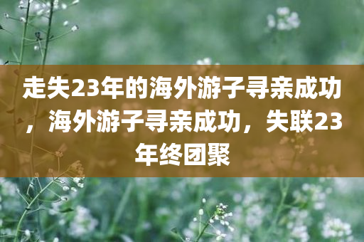 走失23年的海外游子寻亲成功，海外游子寻亲成功，失联23年终团聚