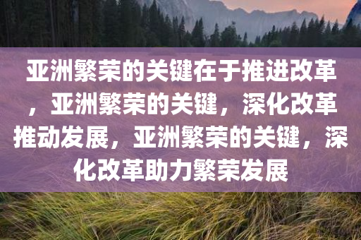 亚洲繁荣的关键在于推进改革，亚洲繁荣的关键，深化改革推动发展，亚洲繁荣的关键，深化改革助力繁荣发展
