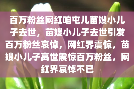百万粉丝网红咱屯儿苗嫂小儿子去世，苗嫂小儿子去世引发百万粉丝哀悼，网红界震惊，苗嫂小儿子离世震惊百万粉丝，网红界哀悼不已