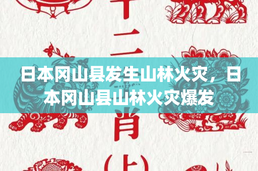 日本冈山县发生山林火灾，日本冈山县山林火灾爆发
