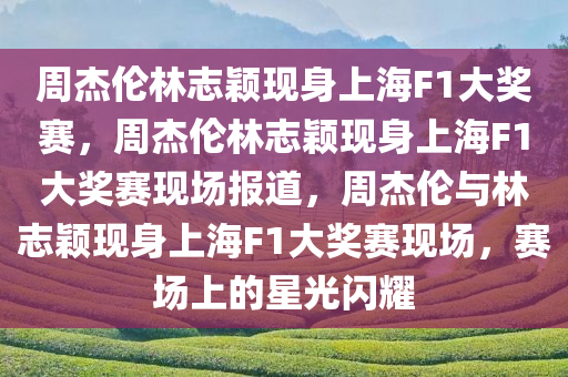 周杰伦林志颖现身上海F1大奖赛，周杰伦林志颖现身上海F1大奖赛现场报道，周杰伦与林志颖现身上海F1大奖赛现场，赛场上的星光闪耀