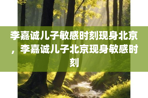 李嘉诚儿子敏感时刻现身北京，李嘉诚儿子北京现身敏感时刻，李嘉诚儿子北京现身，敏感时刻引关注