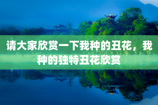 请大家欣赏一下我种的丑花，我种的独特丑花欣赏