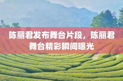 陈丽君发布舞台片段，陈丽君舞台精彩瞬间曝光，陈丽君舞台精彩瞬间大放送