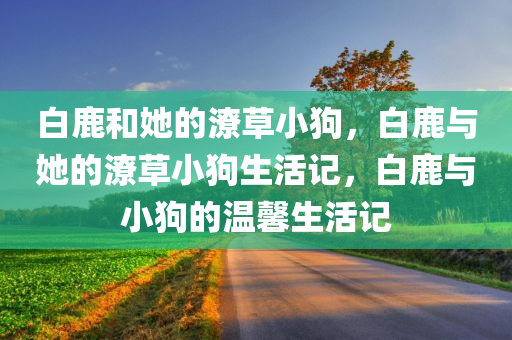 白鹿和她的潦草小狗，白鹿与她的潦草小狗生活记，白鹿与小狗的温馨生活记