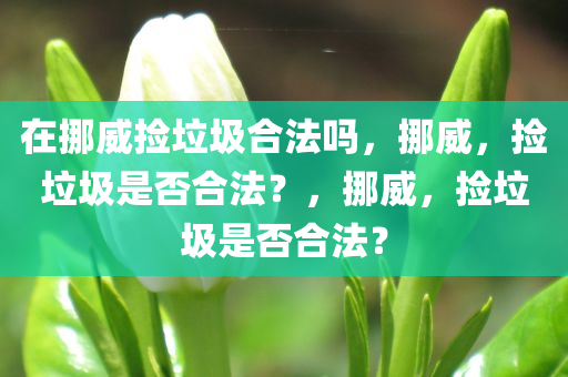 在挪威捡垃圾合法吗，挪威，捡垃圾是否合法？，挪威，捡垃圾是否合法？