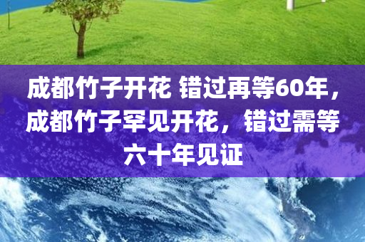 成都竹子开花 错过再等60年，成都竹子罕见开花，错过需等六十年见证