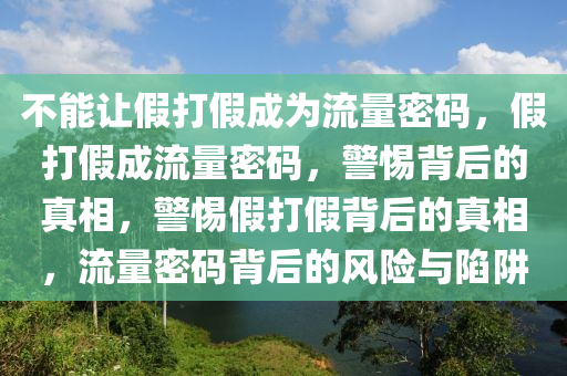不能让假打假成为流量密码，假打假成流量密码，警惕背后的真相，警惕假打假背后的真相，流量密码背后的风险与陷阱