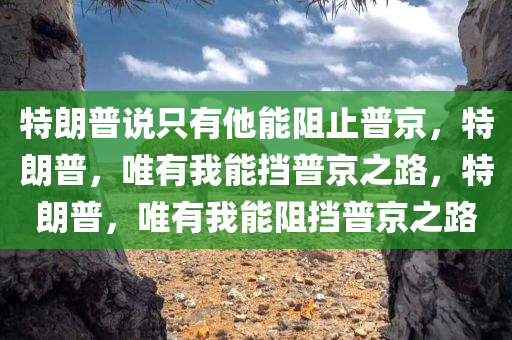 特朗普说只有他能阻止普京，特朗普，唯有我能挡普京之路，特朗普，唯有我能阻挡普京之路