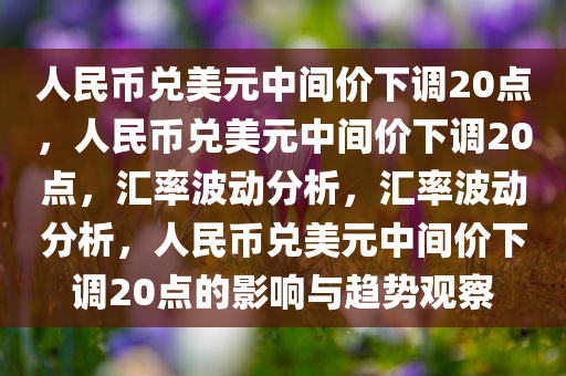 人民币兑美元中间价下调20点，人民币兑美元中间价下调20点，汇率波动分析，汇率波动分析，人民币兑美元中间价下调20点的影响与趋势观察