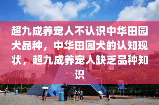 超九成养宠人不认识中华田园犬品种，中华田园犬的认知现状，超九成养宠人缺乏品种知识