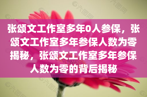张颂文工作室多年0人参保，张颂文工作室多年参保人数为零揭秘，张颂文工作室多年参保人数为零的背后揭秘