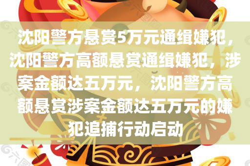沈阳警方悬赏5万元通缉嫌犯，沈阳警方高额悬赏通缉嫌犯，涉案金额达五万元，沈阳警方高额悬赏涉案金额达五万元的嫌犯追捕行动启动