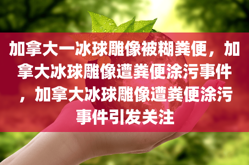 加拿大一冰球雕像被糊粪便，加拿大冰球雕像遭粪便涂污事件，加拿大冰球雕像遭粪便涂污事件引发关注