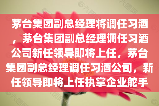 茅台集团副总经理将调任习酒，茅台集团副总经理调任习酒公司新任领导即将上任，茅台集团副总经理调任习酒公司，新任领导即将上任执掌企业舵手