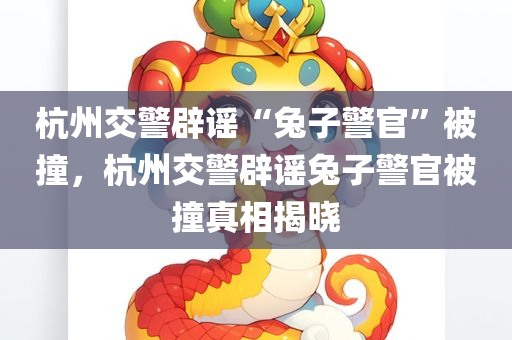 杭州交警辟谣“兔子警官”被撞，杭州交警辟谣兔子警官被撞真相揭晓，杭州交警辟谣兔子警官被撞真相，真相揭晓的时刻