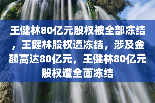 王健林80亿元股权被全部冻结，王健林股权遭冻结，涉及金额高达80亿元，王健林80亿元股权遭全面冻结