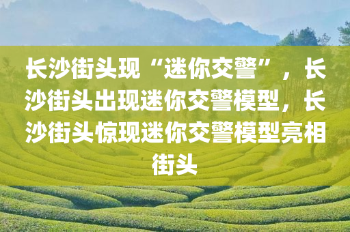 长沙街头现“迷你交警”，长沙街头出现迷你交警模型，长沙街头惊现迷你交警模型亮相街头