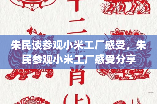 朱民谈参观小米工厂感受，朱民参观小米工厂感受分享