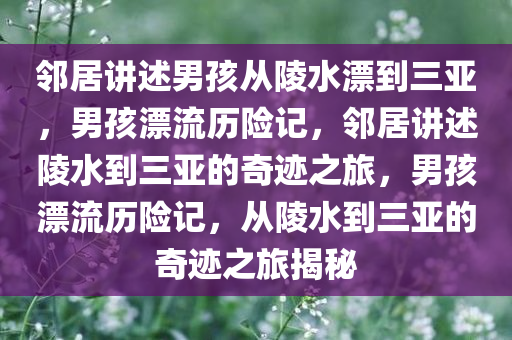 邻居讲述男孩从陵水漂到三亚，男孩漂流历险记，邻居讲述陵水到三亚的奇迹之旅，男孩漂流历险记，从陵水到三亚的奇迹之旅揭秘