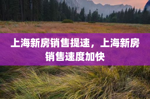 上海新房销售提速，上海新房销售速度加快，上海新房销售速度加快，楼市热度持续上升