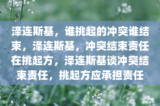泽连斯基，谁挑起的冲突谁结束，泽连斯基，冲突结束责任在挑起方，泽连斯基谈冲突结束责任，挑起方应承担责任