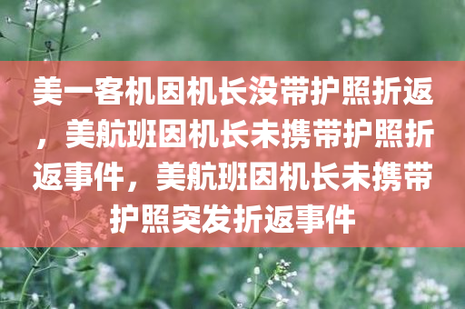 美一客机因机长没带护照折返，美航班因机长未携带护照折返事件，美航班因机长未携带护照突发折返事件