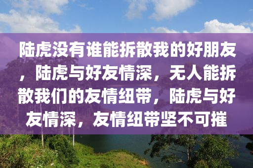 陆虎没有谁能拆散我的好朋友，陆虎与好友情深，无人能拆散我们的友情纽带，陆虎与好友情深，友情纽带坚不可摧