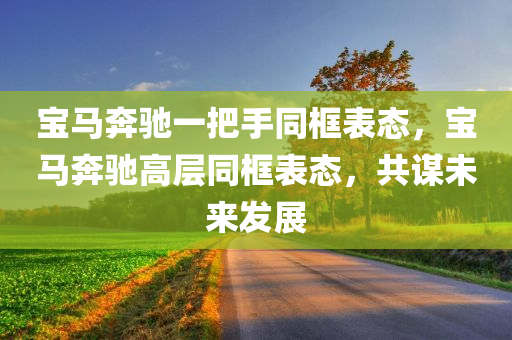 宝马奔驰一把手同框表态，宝马奔驰高层同框表态，共谋未来发展