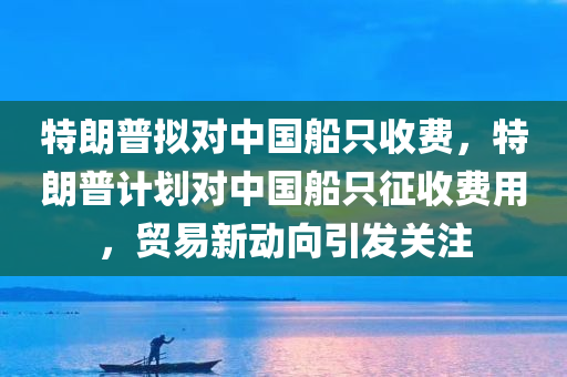 特朗普拟对中国船只收费，特朗普计划对中国船只征收费用，贸易新动向引发关注