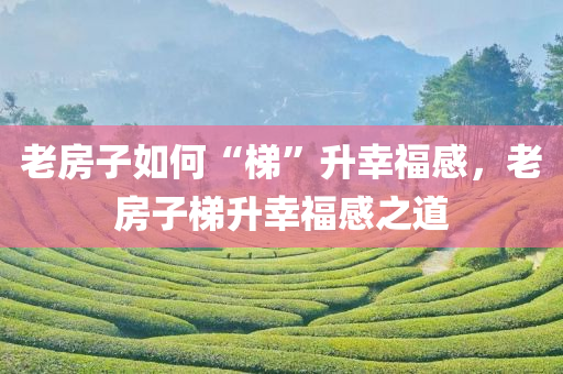 老房子如何“梯”升幸福感，老房子梯升幸福感之道