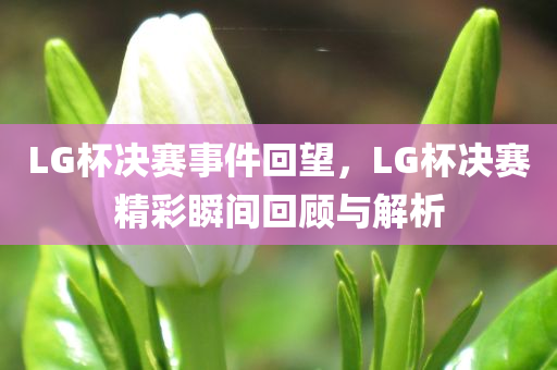 LG杯决赛事件回望，LG杯决赛精彩瞬间回顾与解析