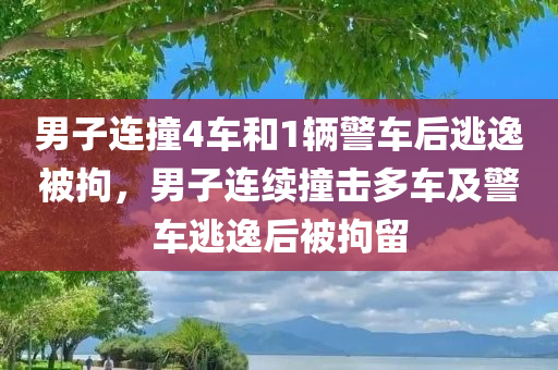 男子连撞4车和1辆警车后逃逸被拘，男子连续撞击多车及警车逃逸后被拘留，男子连续撞击多车及警车后逃逸遭拘留