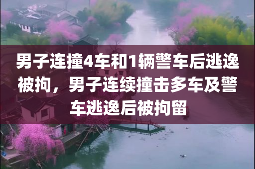 男子连撞4车和1辆警车后逃逸被拘，男子连续撞击多车及警车逃逸后被拘留