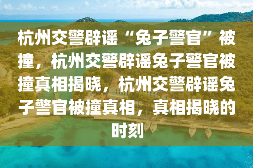 杭州交警辟谣“兔子警官”被撞，杭州交警辟谣兔子警官被撞真相揭晓，杭州交警辟谣兔子警官被撞真相，真相揭晓的时刻