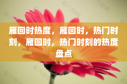 雁回时热度，雁回时，热门时刻，雁回时，热门时刻的热度盘点