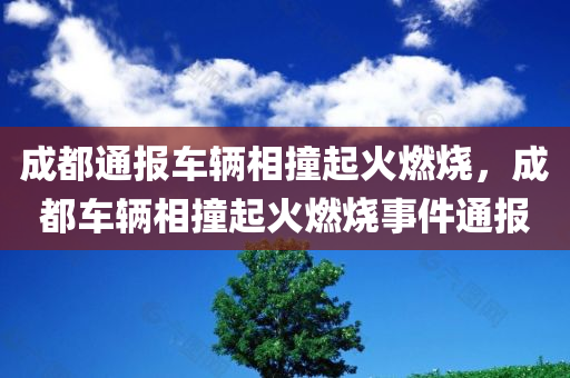 成都通报车辆相撞起火燃烧，成都车辆相撞起火燃烧事件通报