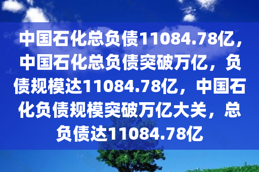 中国石化总负债11084.78亿，中国石化总负债突破万亿，负债规模达11084.78亿，中国石化负债规模突破万亿大关，总负债达11084.78亿