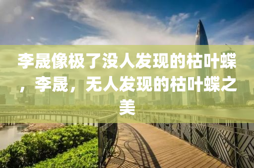 李晟像极了没人发现的枯叶蝶，李晟，无人发现的枯叶蝶之美