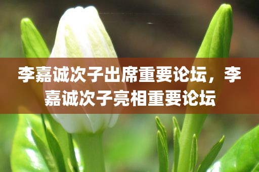 李嘉诚次子出席重要论坛，李嘉诚次子亮相重要论坛，李嘉诚次子亮相重要论坛，展现家族影响力与商业智慧