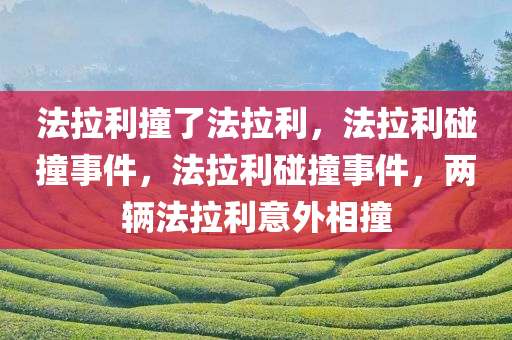 法拉利撞了法拉利，法拉利碰撞事件，法拉利碰撞事件，两辆法拉利意外相撞