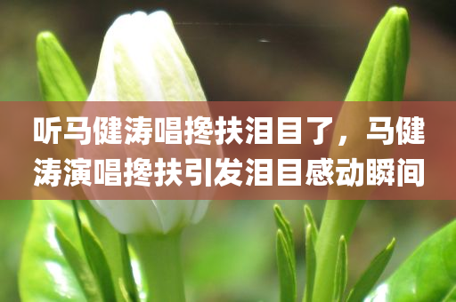 听马健涛唱搀扶泪目了，马健涛演唱搀扶引发泪目感动瞬间，马健涛演唱搀扶引发泪目，深情演绎触动人心瞬间