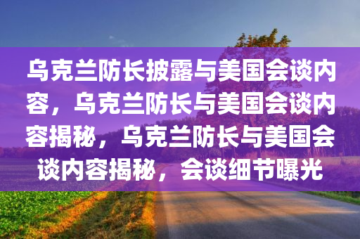 乌克兰防长披露与美国会谈内容，乌克兰防长与美国会谈内容揭秘，乌克兰防长与美国会谈内容揭秘，会谈细节曝光
