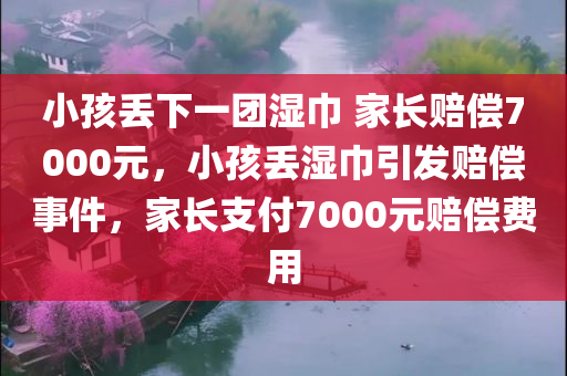 小孩丢下一团湿巾 家长赔偿7000元，小孩丢湿巾引发赔偿事件，家长支付7000元赔偿费用
